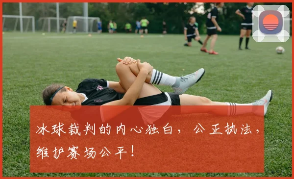 冰球裁判的内心独白，公正执法，维护赛场公平！