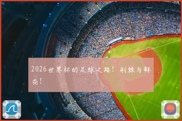 2026世界杯的足球之路!荆棘与鲜花!