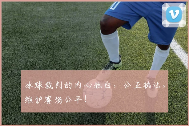 冰球裁判的内心独白，公正执法，维护赛场公平！