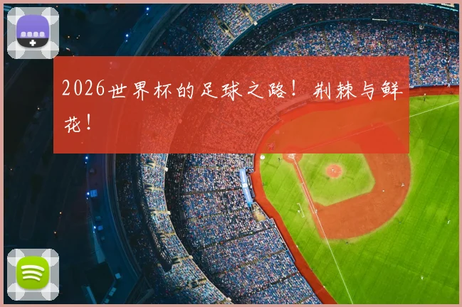 2026世界杯的足球之路!荆棘与鲜花!